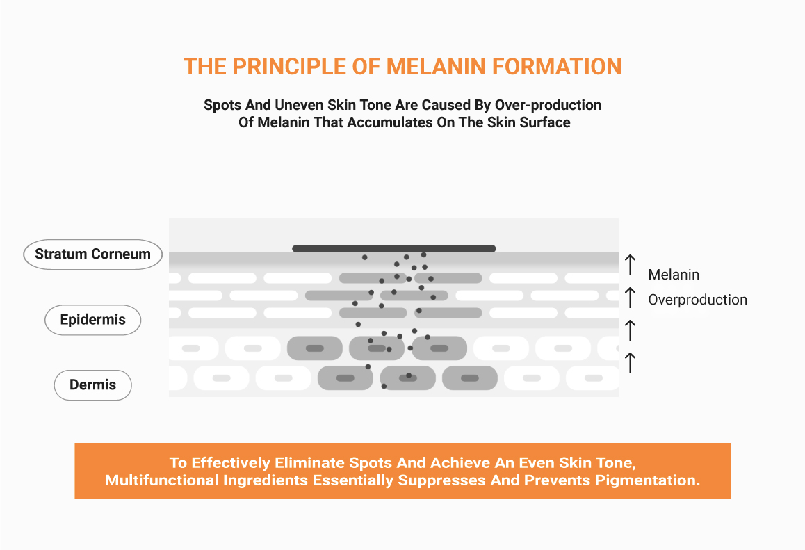 Spots and Uneven Skintone are Caused by Over-Production of Melanin - RV24 is the Ideal Skincare Serum for Dark Spots