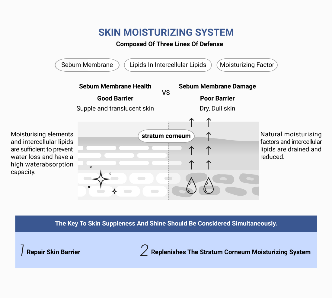 Skin Moisturizing System - Skincare for Dry Skin