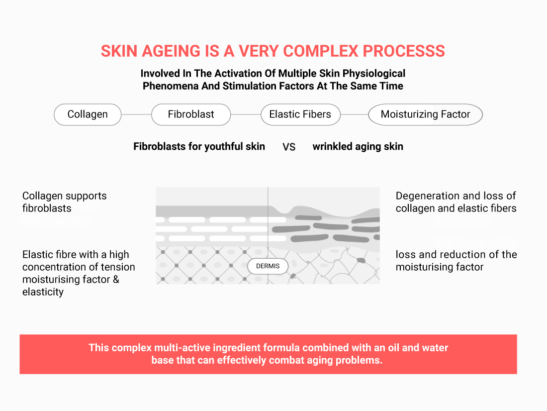 Multiactive Ingredient Formula for Wrinkle Skincare